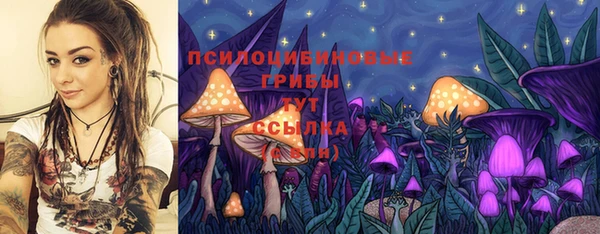 марки lsd Богданович