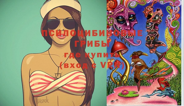 марки lsd Богданович